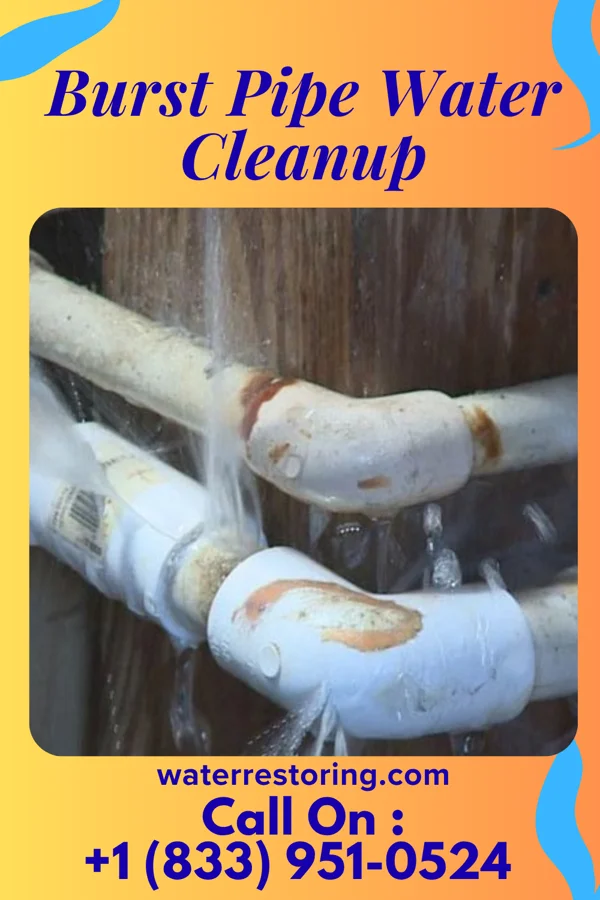 Burst Pipe Water Cleanup in Madrid, NE