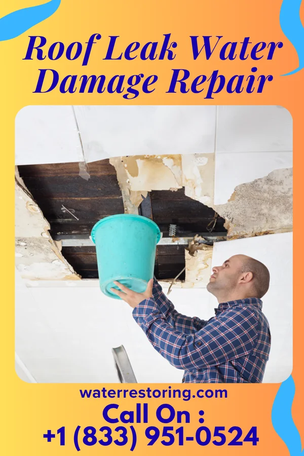 Roof Leak Water Damage Repair in Madrid, NE